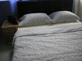 Hotel Feel Like